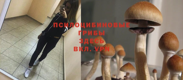 трава Наволоки