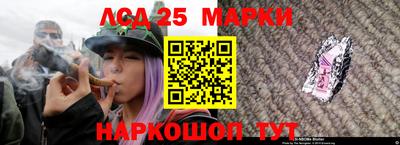 a pvp Гатчина