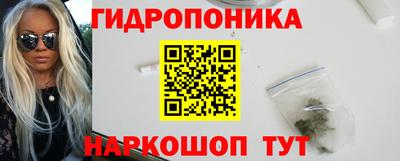a pvp Гатчина