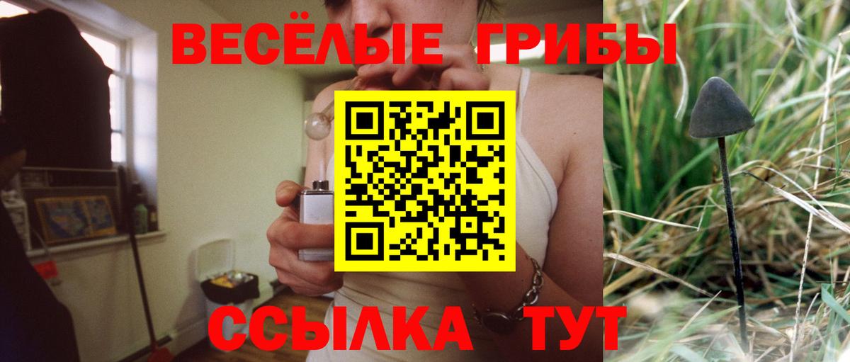 Галлюциногенные грибы Magic Shrooms Павлово